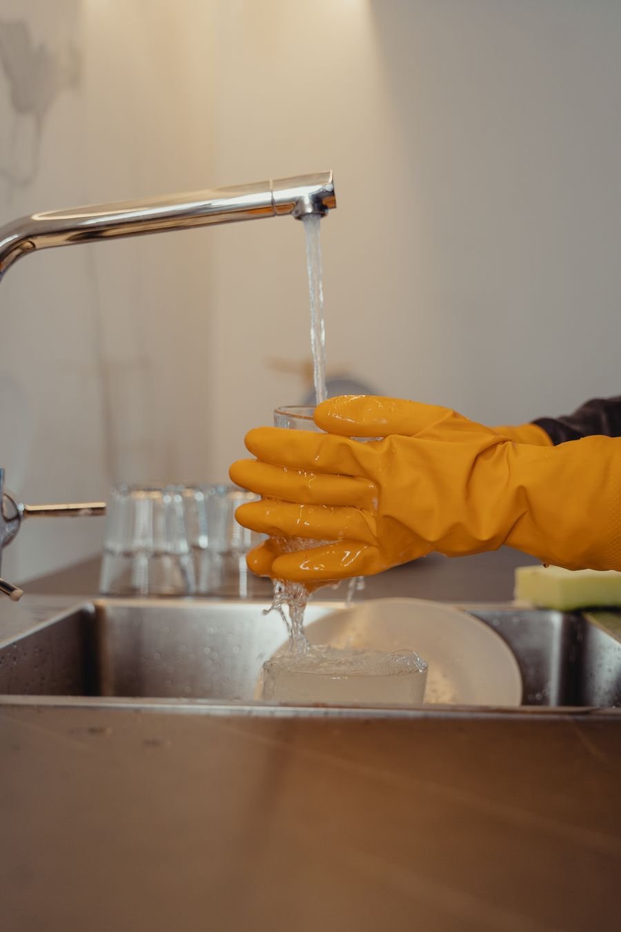 Dishmachine Descaler, 1 gal.